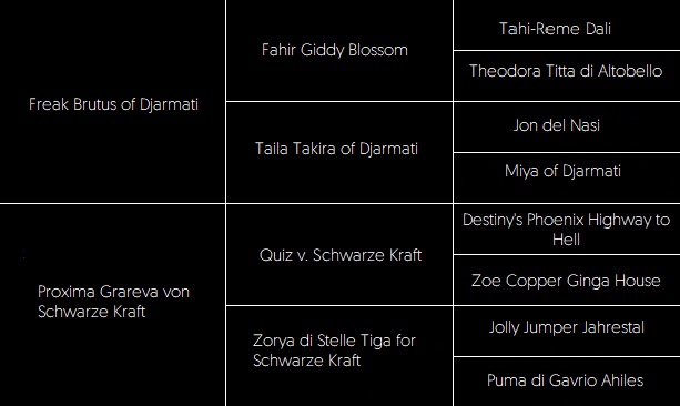 JANA JUSTIFLA RODOVNIK