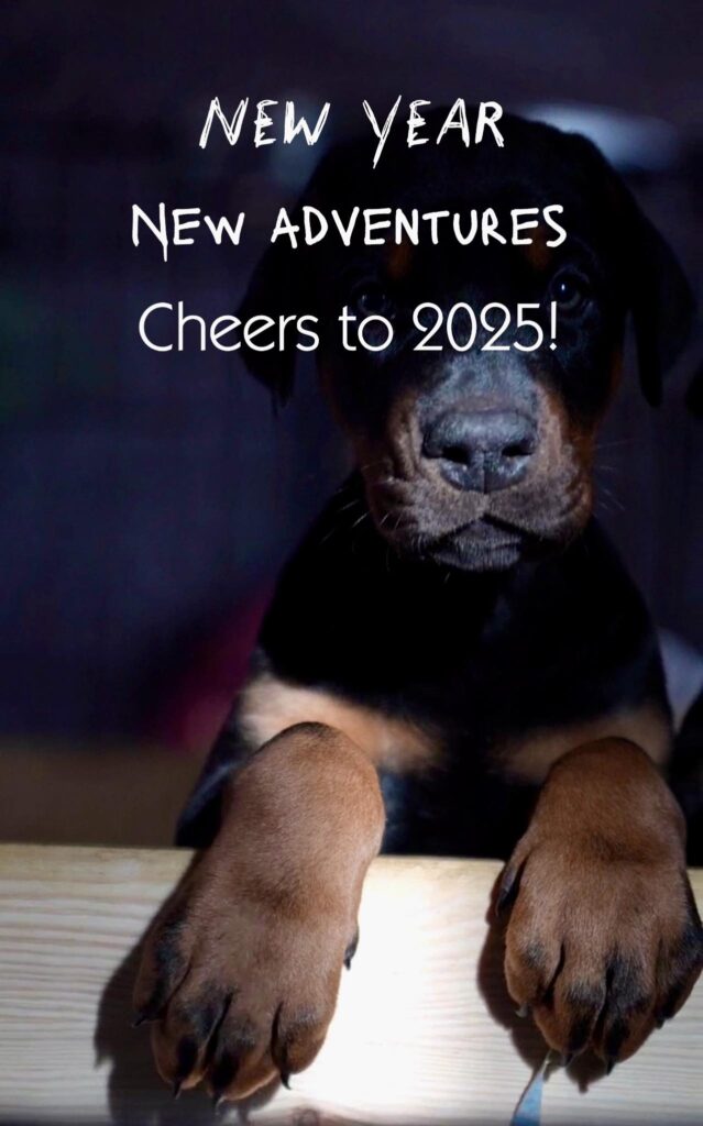happy new year