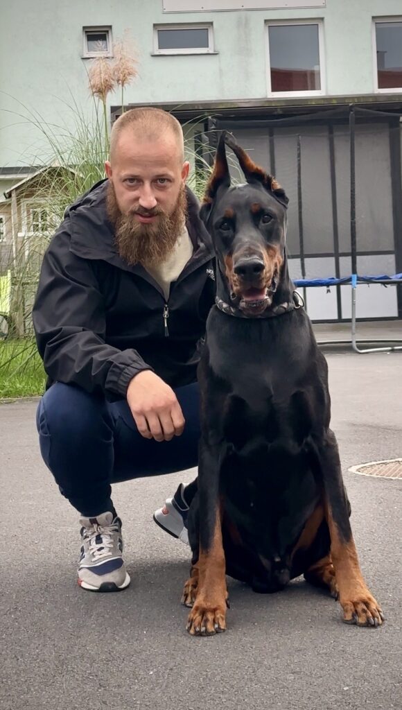 GRAREVA dobermanns